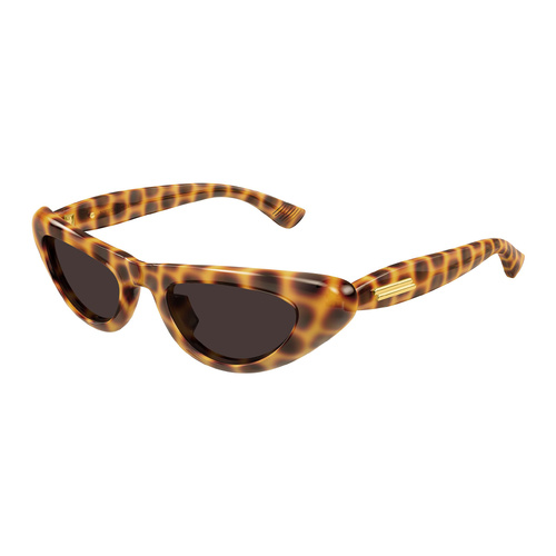 Bottega Veneta BV1450S 002 Havana / Brown Lenses
