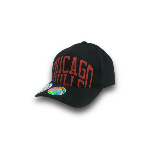 Mitchell & Ness Chicago Bulls 110 Arched Black OSFM